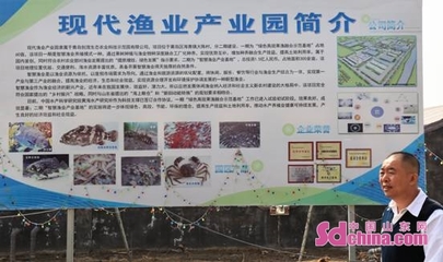 山东青岛 现代渔业产业园虾肥鱼欢 发展风生水起——青岛企业建设记